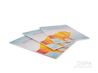 DISPA-Regalschild vom Hersteller Buckow
