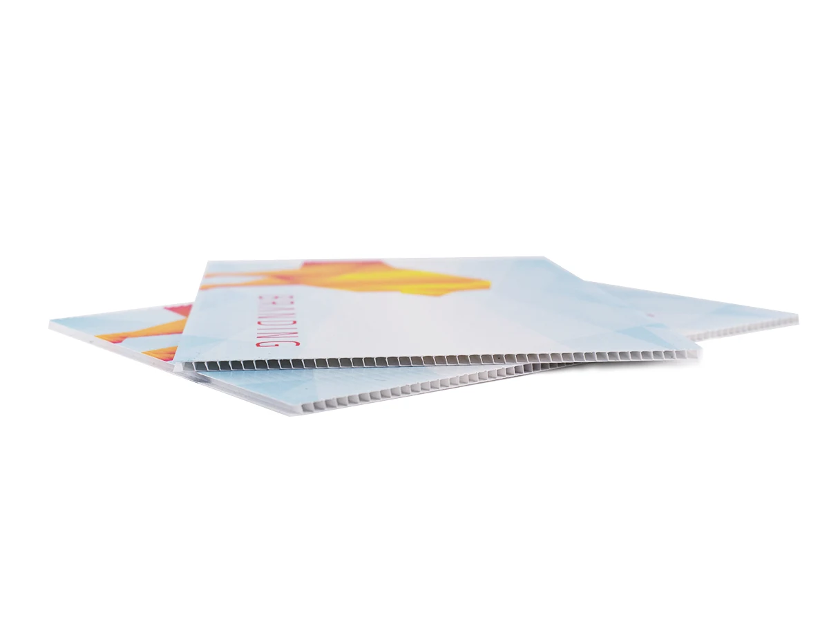 Vereinsschild aus Hohlkammerplatte kaufen Wassenberg
